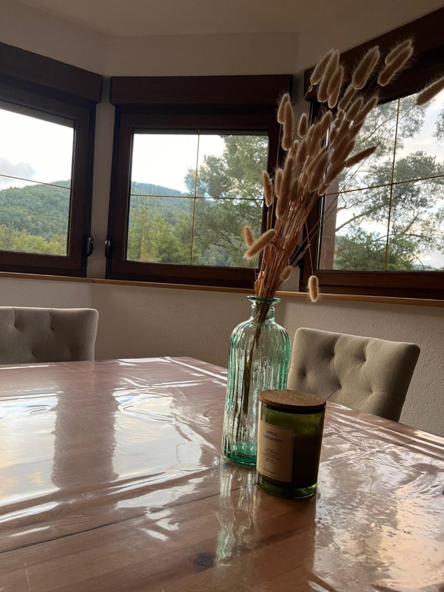 Buhl De Bonheur Villa Guebwiller Buitenkant foto