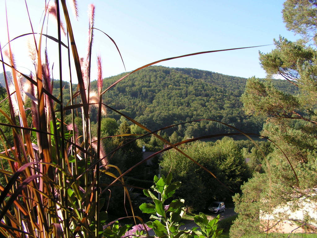 Buhl De Bonheur Villa Guebwiller Buitenkant foto