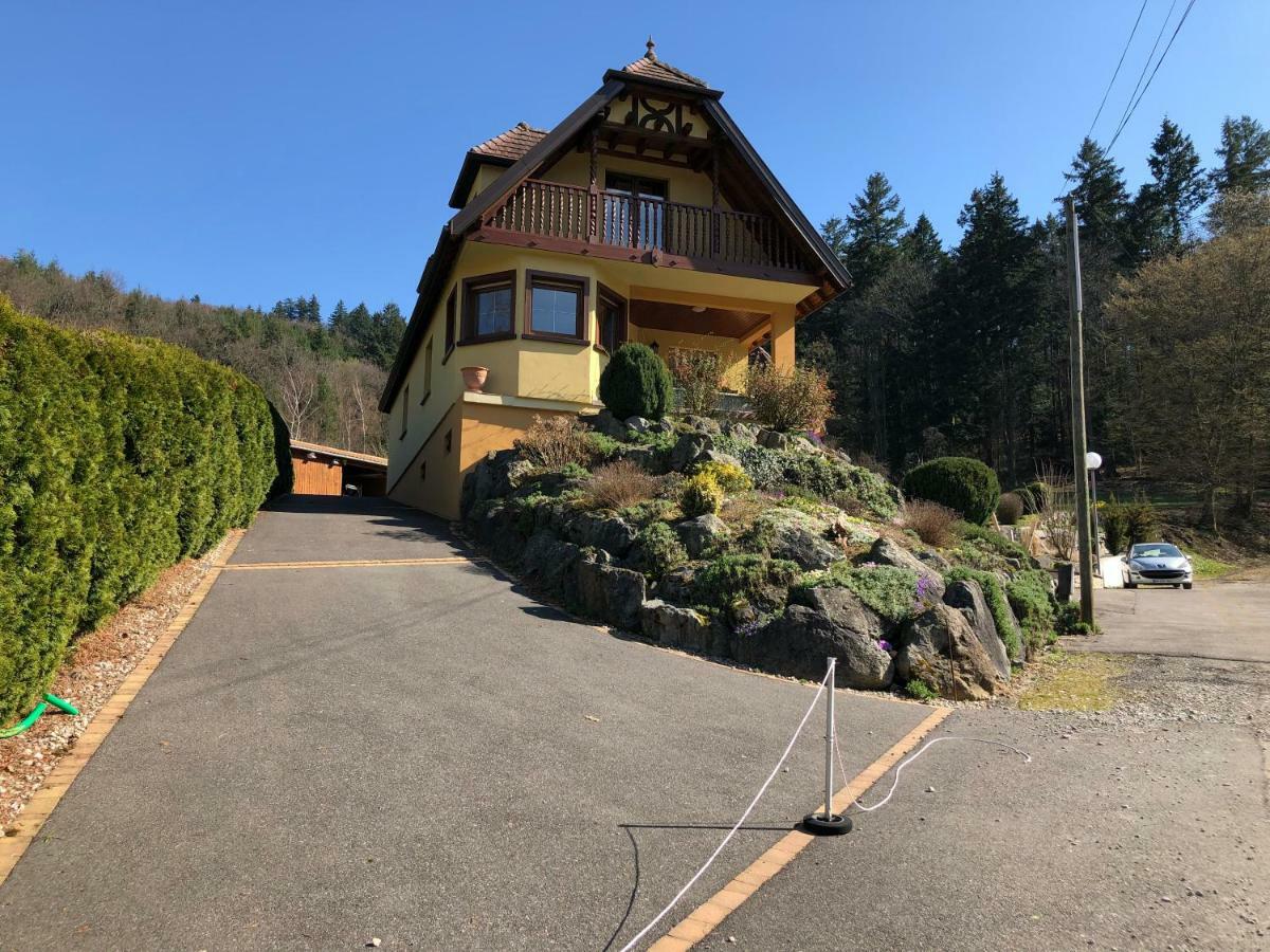 Buhl De Bonheur Villa Guebwiller Buitenkant foto