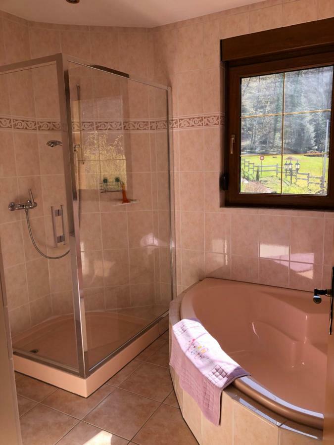 Buhl De Bonheur Villa Guebwiller Buitenkant foto